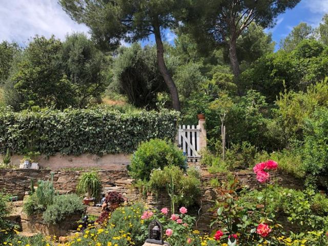 Logement Zen Sur La Colline Aux Mimosas Hyères Exterior foto