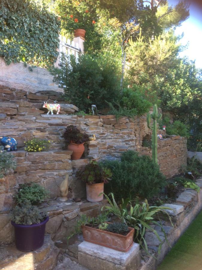 Logement Zen Sur La Colline Aux Mimosas Hyères Exterior foto